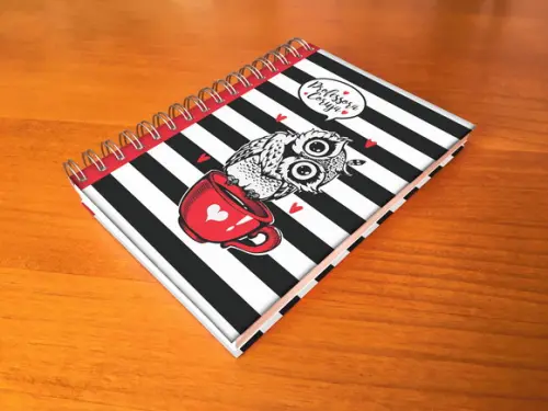 Agenda personalizada Professora coruja presente professora