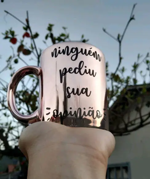 Caneca Personalizada cromada Rosa ninguém pediu sua opinião