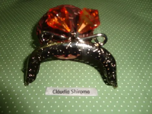 Fecho da vovó Diamante Prata