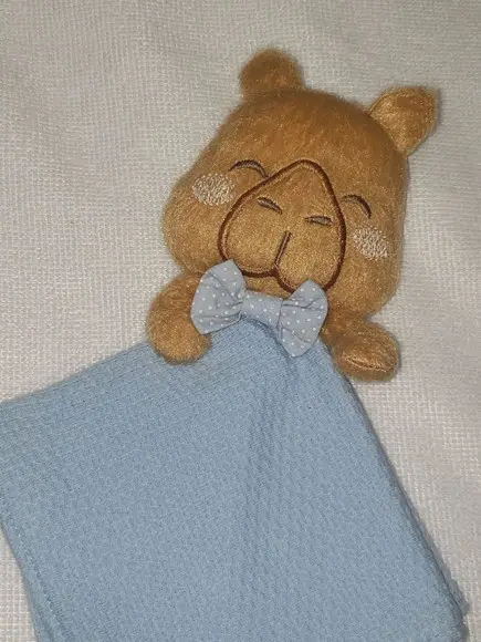 Naninha Capivara