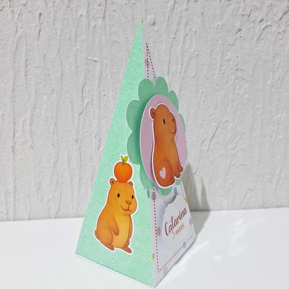 Caixa Piramide - Capivara