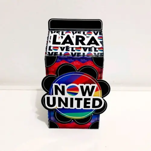 Caixa Milk - Now United