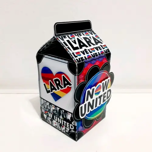 Caixa Milk - Now United