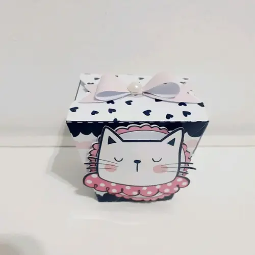 Caixa Sushi - Gatinhas