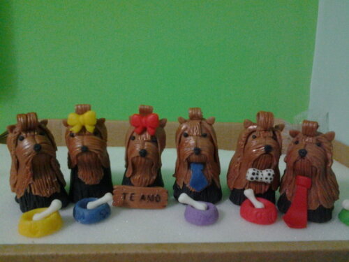 Yorkshire de Biscuit