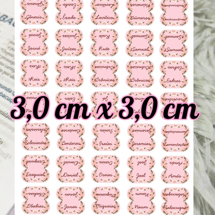 Abas para Bíblia Florais Rosa para Imprimir – Kit Digital