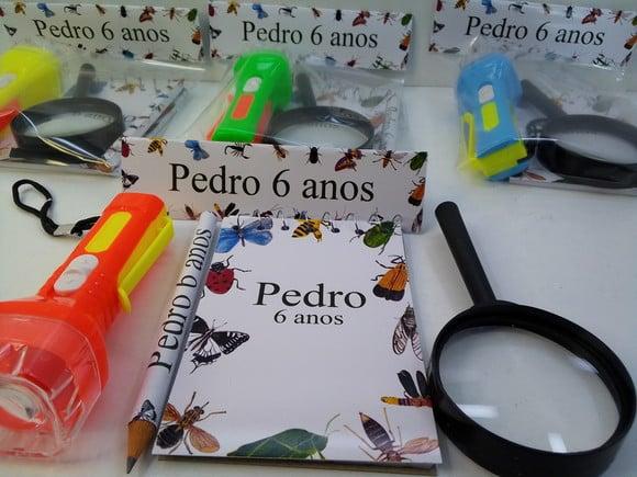 Kit Bloquinho + Mini Lápis + Lanterna + Lupa Insetos
