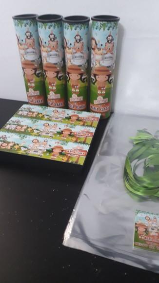 Kit Domino e Pega Varetas Tema Safari Baby Menina