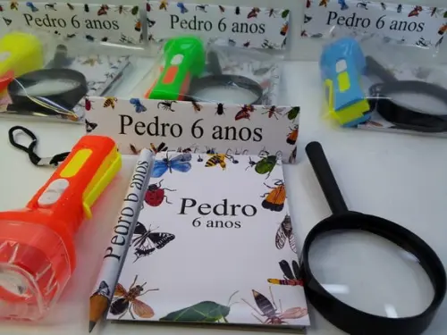 Kit Bloquinho + Mini Lápis + Lanterna + Lupa Insetos