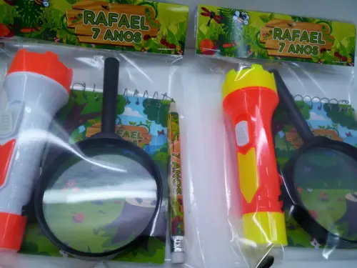 Kit Bloquinho + Mini Lápis + Lanterna + Lupa Tema Insetos