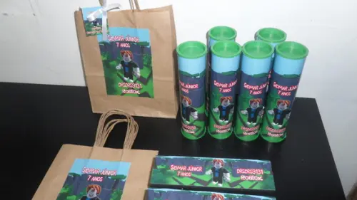 Kit Sacolinha + Domino + Pega Varetas Tema Minecraft