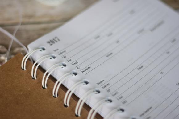 Agenda Diária Personalizada 15x21 com Inicial e Pérolas | Capa 