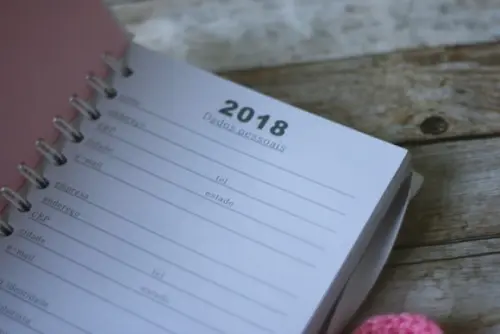 Agenda Diária Personalizada em Scrapbook | Planner Artesanal com
