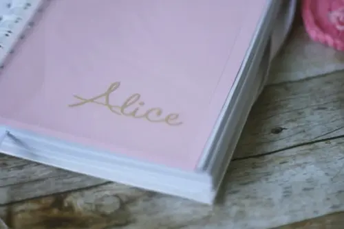 Agenda Diária Personalizada em Scrapbook | Planner Artesanal com