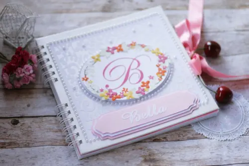 Livro de Assinaturas Personalizado com Dados de Nascimento | Scra