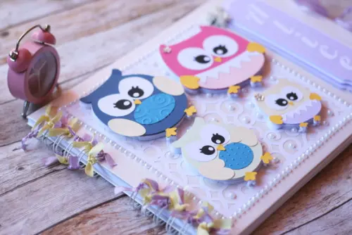 Livro de Assinaturas Corujinhas A4 Personalizado Scrapbook Capa D