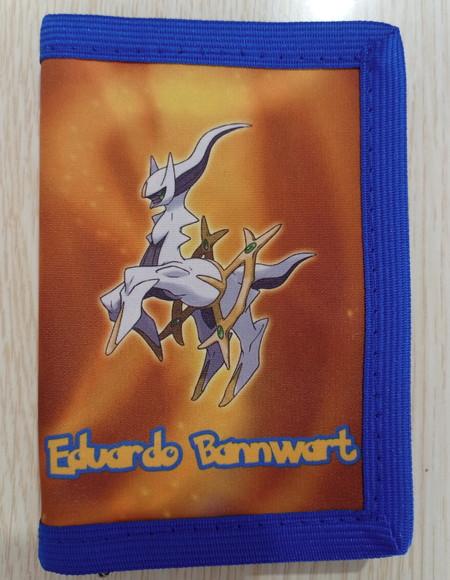 Carteira Pokemon