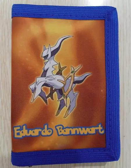 Carteira Pokemon