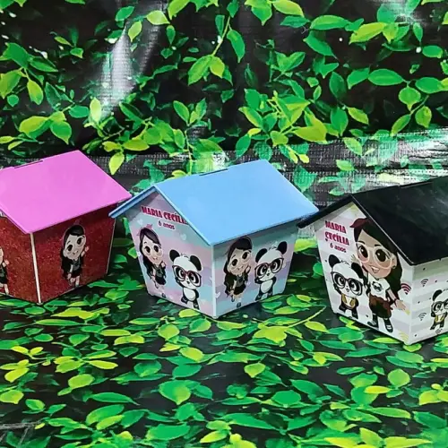 Casinha Cofre Luluca 4 Lados