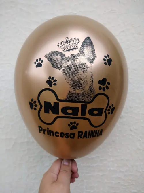 Bexigas Látex Metalizada Personalizada com Foto