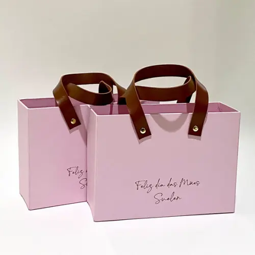 Kit 06 Unid Ecobag Cartonada 22x16x7