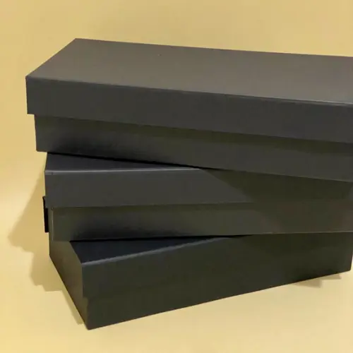Caixa Rígida 30x23x10 (vazia)