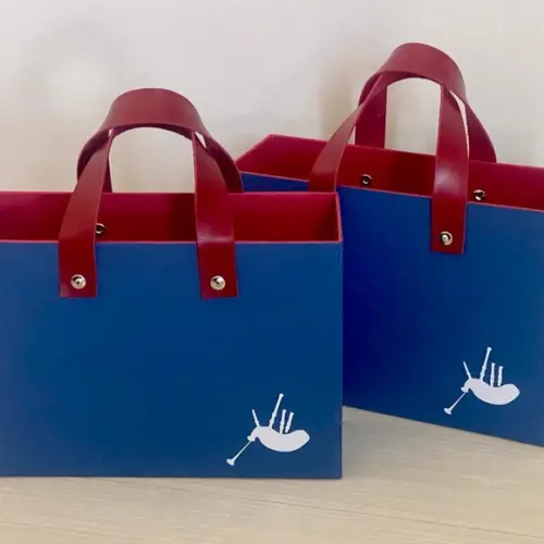 Ecobag Cartonada 22x16x7
