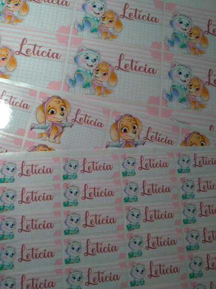 Kit Etiqueta Escolar - Patrulha Canina Menina