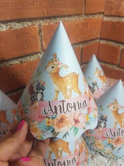 10 Chapeuzinhos de Aniversário Bosque Encantado