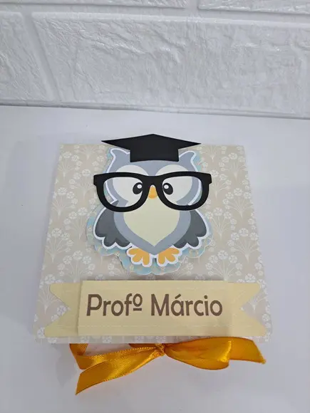 Caixa Coruja Professor