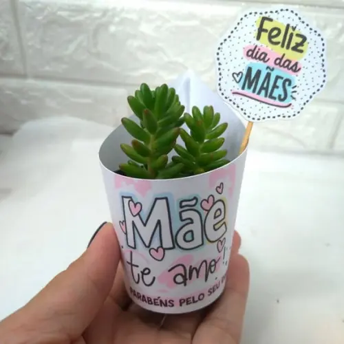 Rótulo para Suculenta + Tag Dia das Mães