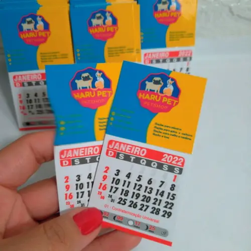 10 Mini Calendario Imã