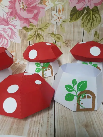 5 Caixas Cogumelo