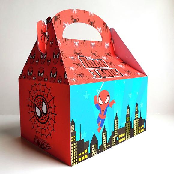 Malinha Grande - Homem Aranha Baby