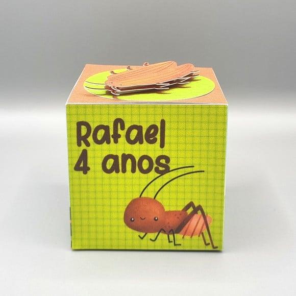 Caixa Cubo - Jardim dos Insetos