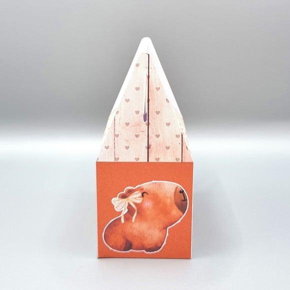 Caixa Malinha - Capivara Modelo 1