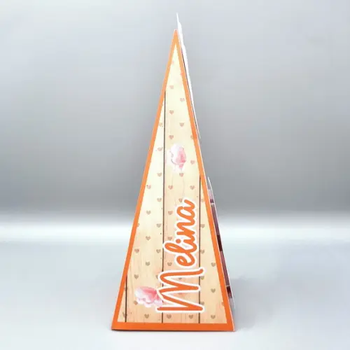 Caixa Cone - Capivara Modelo 2