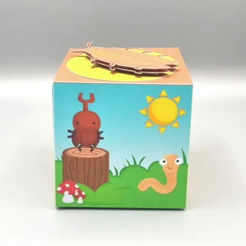 Caixa Cubo - Jardim dos Insetos