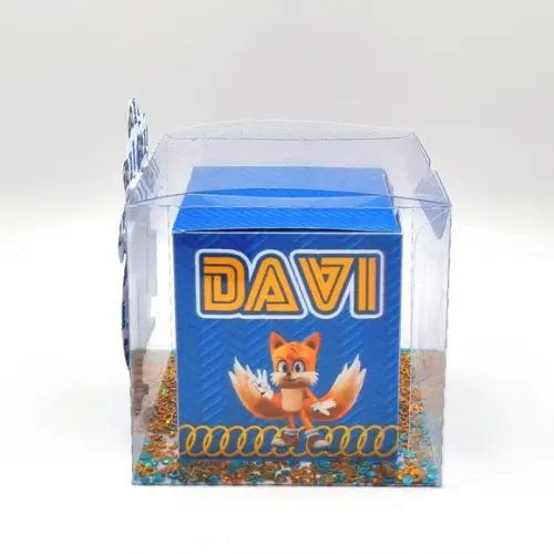 Caixa Cubo de Acetato - Sonic 2