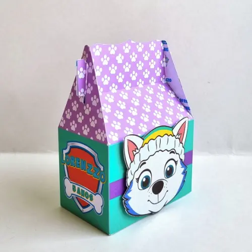 Caixa Malinha - Patrulha Canina Everest
