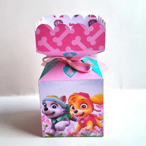 Caixa Meia Bala - Patrulha Canina Rosa