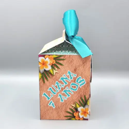 Caixa Milk - Moana 2