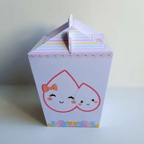 Caixa Sushi com Alça - Chuva de Amor