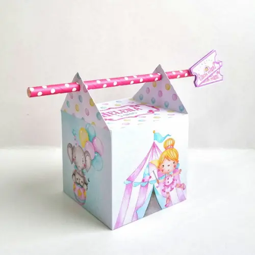 Kit Caixas Personalizadas 20 Itens - Circo Rosa
