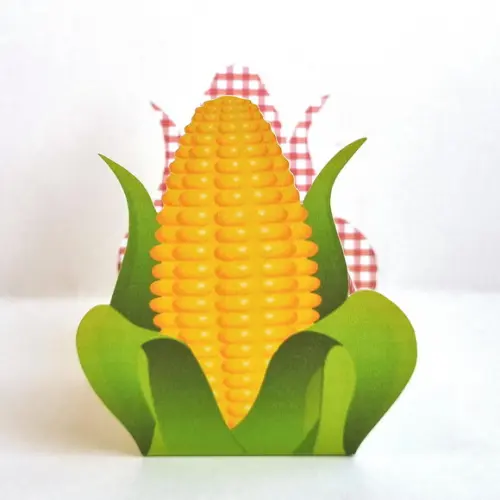 Kit de Caixas Personalizadas 30 Peças - Festa Junina Menina