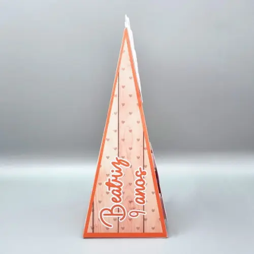 Caixa Cone - Capivara Modelo 1