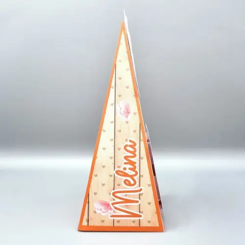 Caixa Cone - Capivara Modelo 2