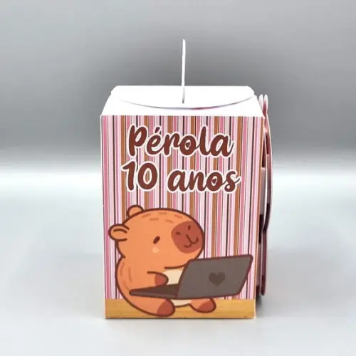 Caixa de Mão - Capivara Cute