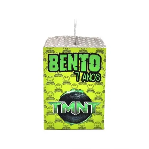 Caixa de Mão - Tartarugas Ninja