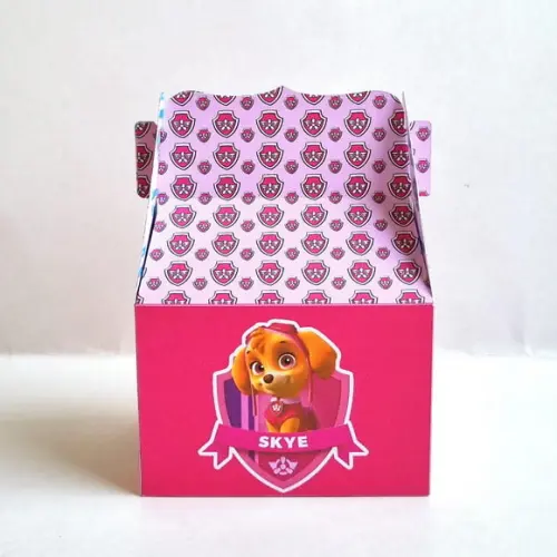 Caixa Malinha - Patrulha Canina Skye